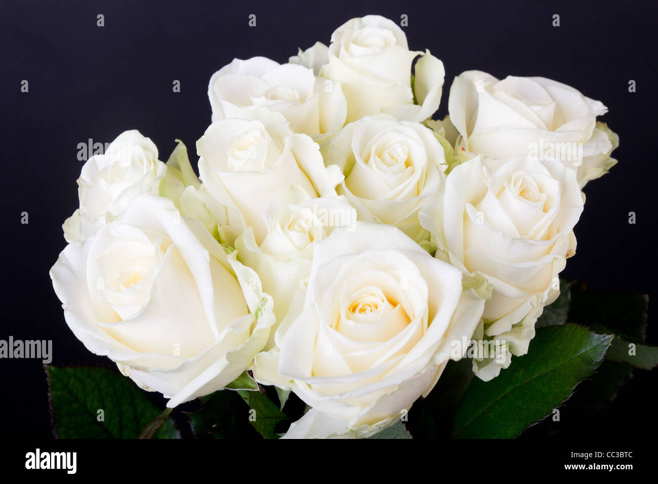 White Roses Between Black Roses Bouquet of white roses over black Stock Photo - Alamy