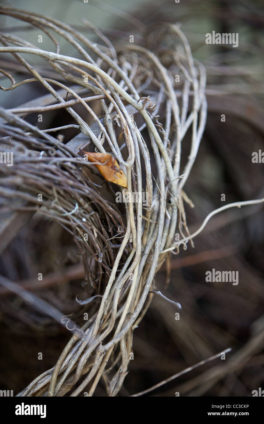 Woven twig decorations Stock Photo
