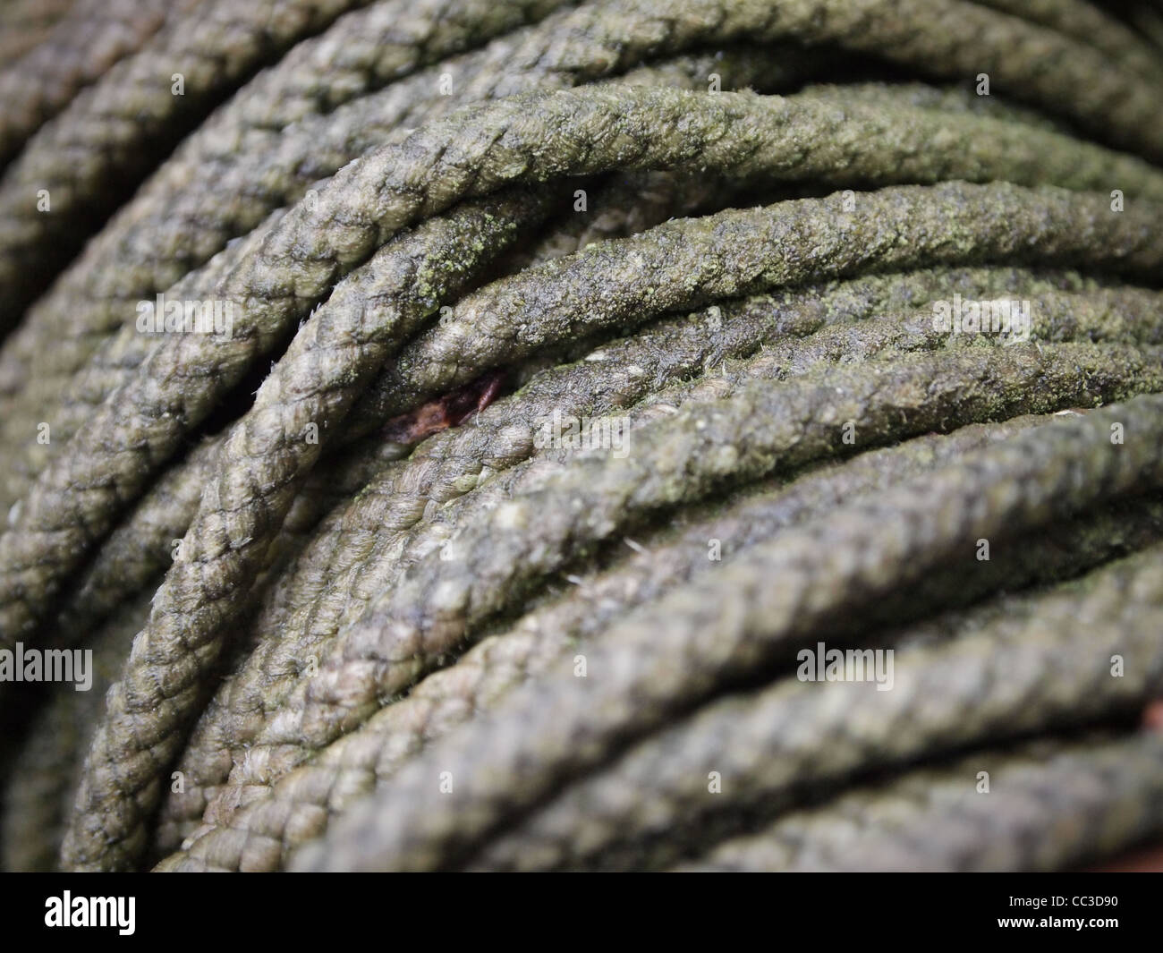 Built up tension in an old rope Stock Photo - Alamy