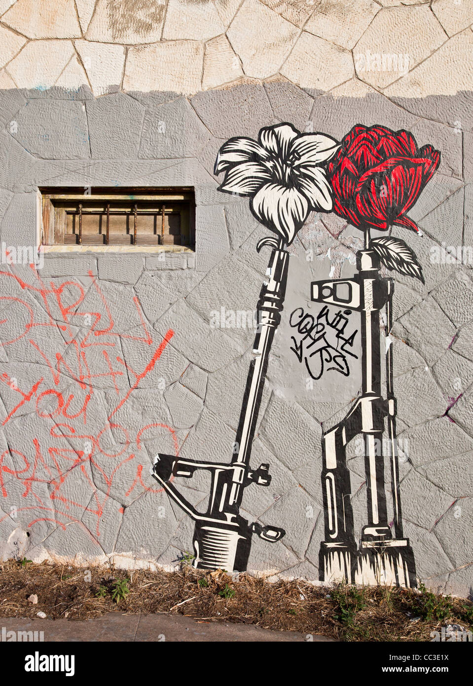 Shepard Fairey 'Guns and Roses' Wheatpaste street art in east Austin, Texas Stock Photo