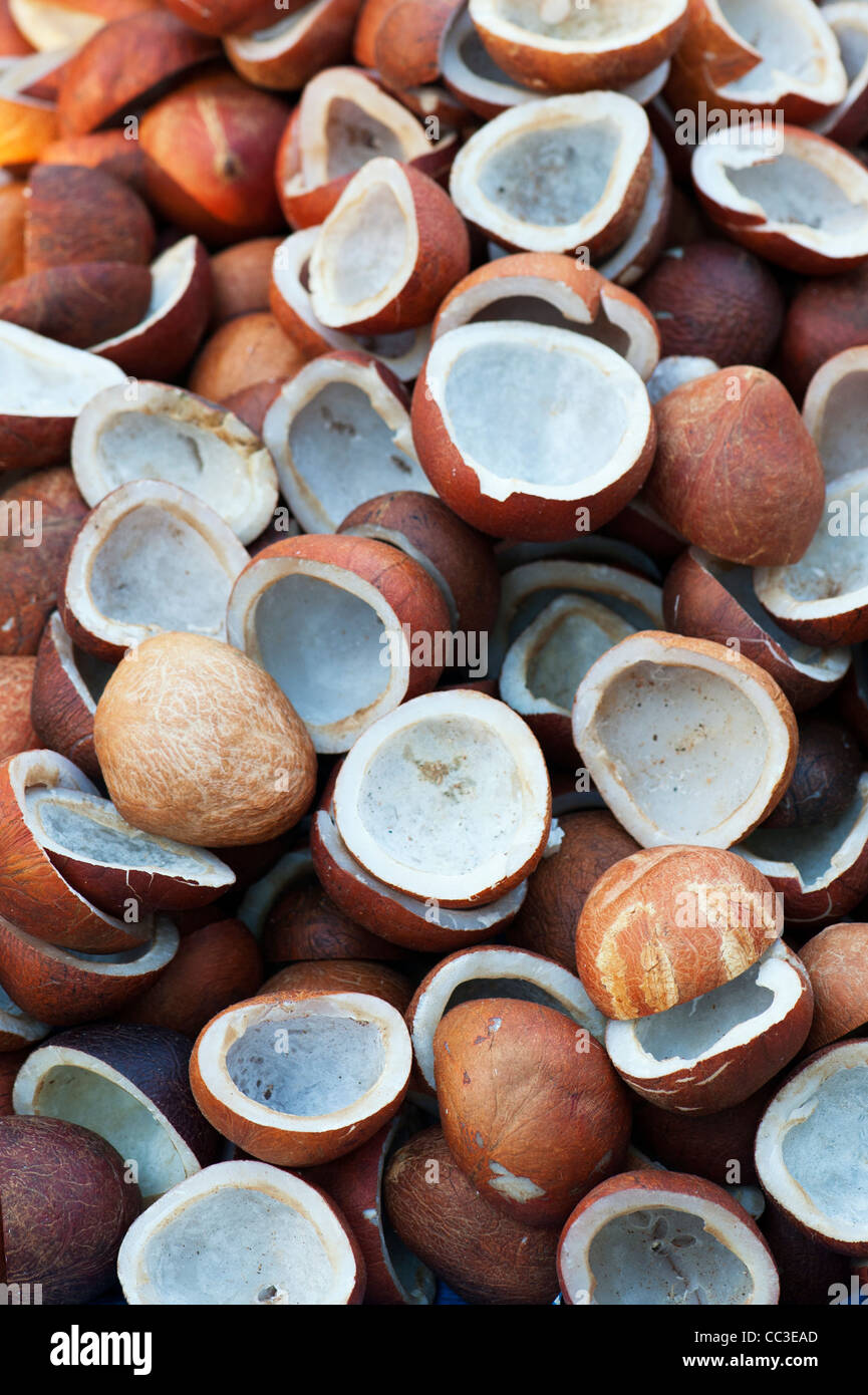 Dried coconut flesh at an indian market. Andhra Pradesh, India Stock Photo