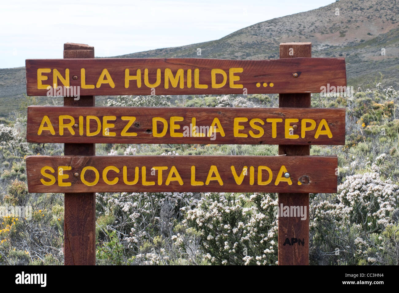 Sign with text massage  'En la humilde… Aridez de la estepa se oculta la vida ' In the humble ... Arid steppe hidden life.... Stock Photo