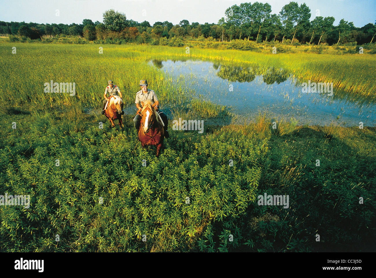 Two People Riding Horses - Italy - Emilia-Romagna Region - Regional Park Of The Po River Delta - Mesola Wood Stock Photo