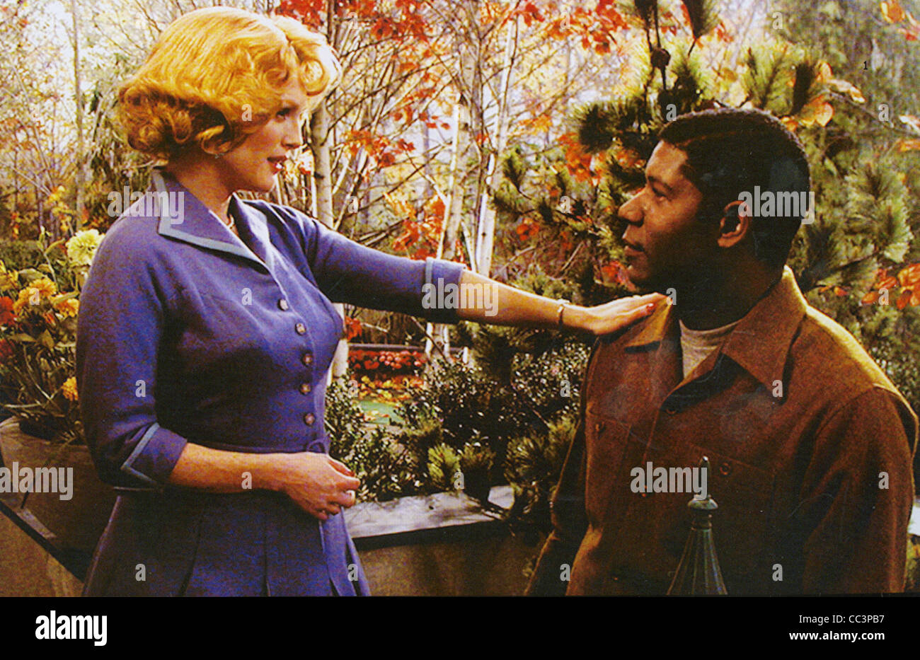 FAR FROM HEAVEN 2002 Focus Features film with Julianne Moore and Dennis Haysbert Stock Photo