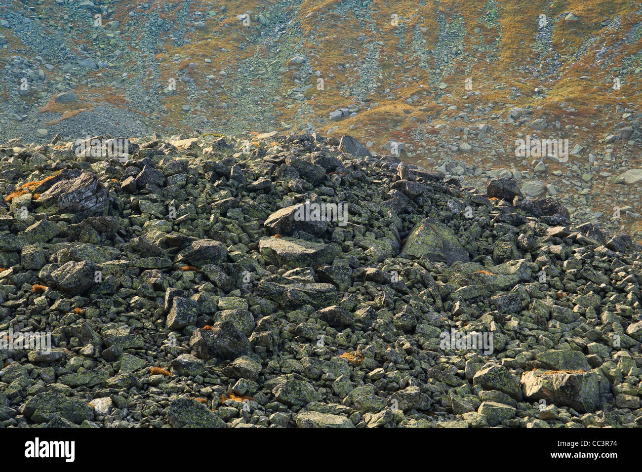 Granite scree slope in Tatra National Park. Poland. Stock Photo