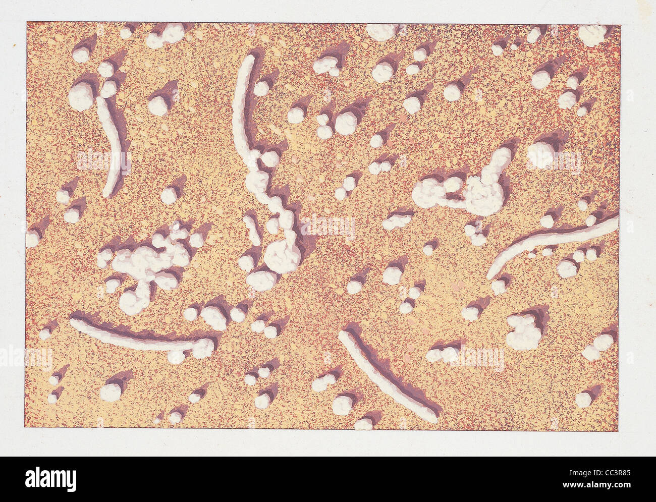 Influenza virus drawing hi-res stock photography and images - Alamy