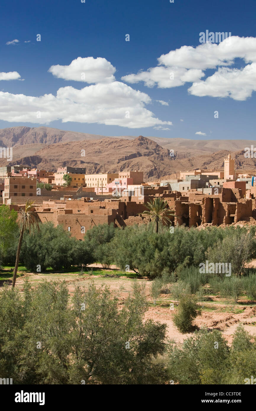 Morocco, Todra Gorge Area, Tinerhir, Town View  & Palmerie Date Forest Stock Photo