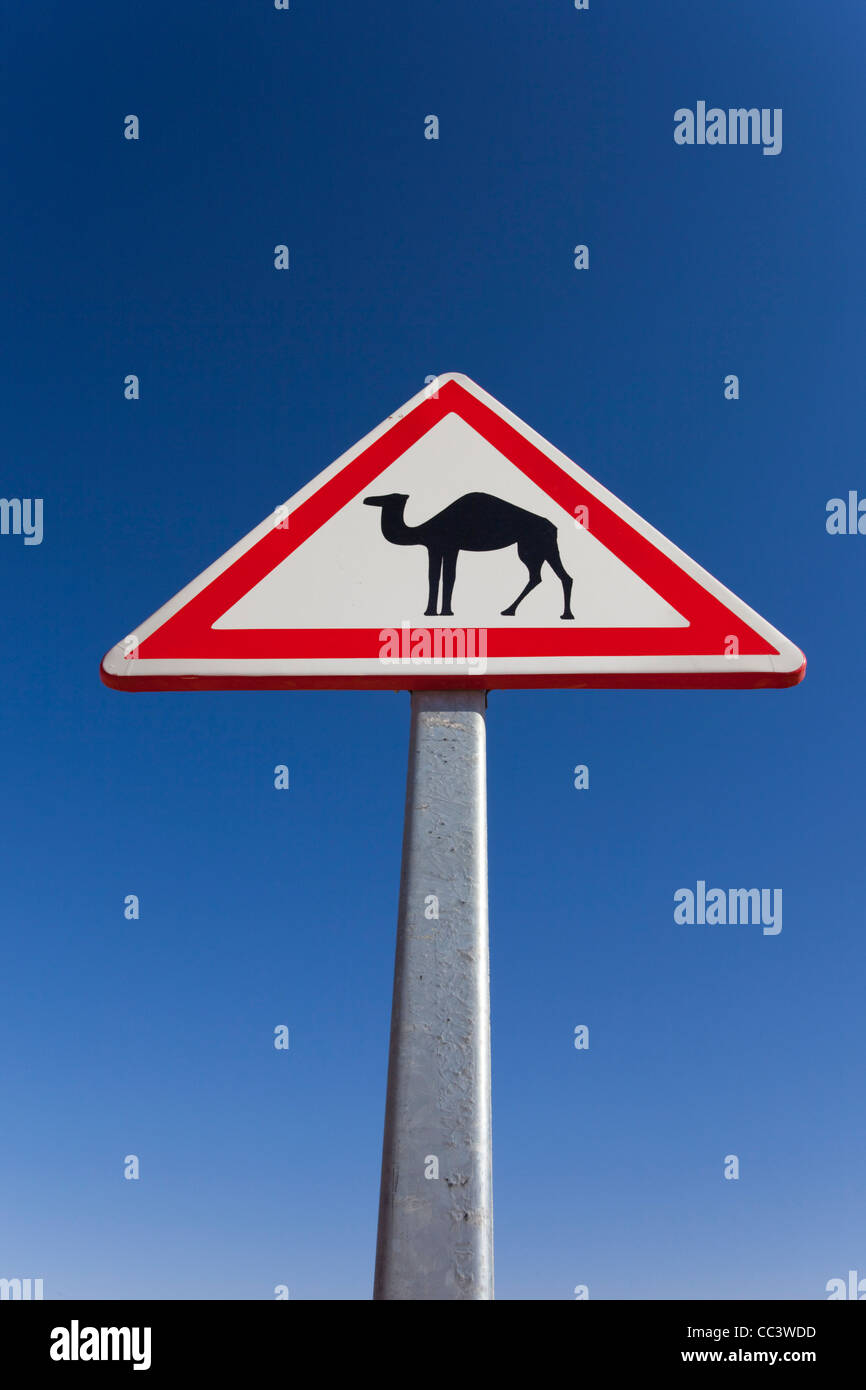 Tunisia, Ksour Area, Ksar Ghilane, Grand Erg Oriental Desert, oil pipeline road, camel crossing sign Stock Photo