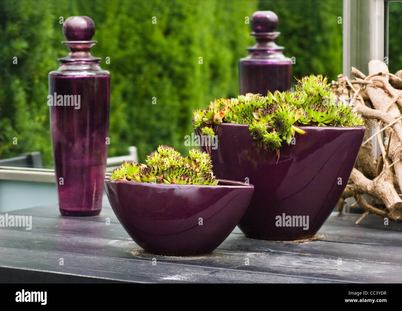 Purple glass bottles and vases with plants on table in the garden in summer Stock Photo