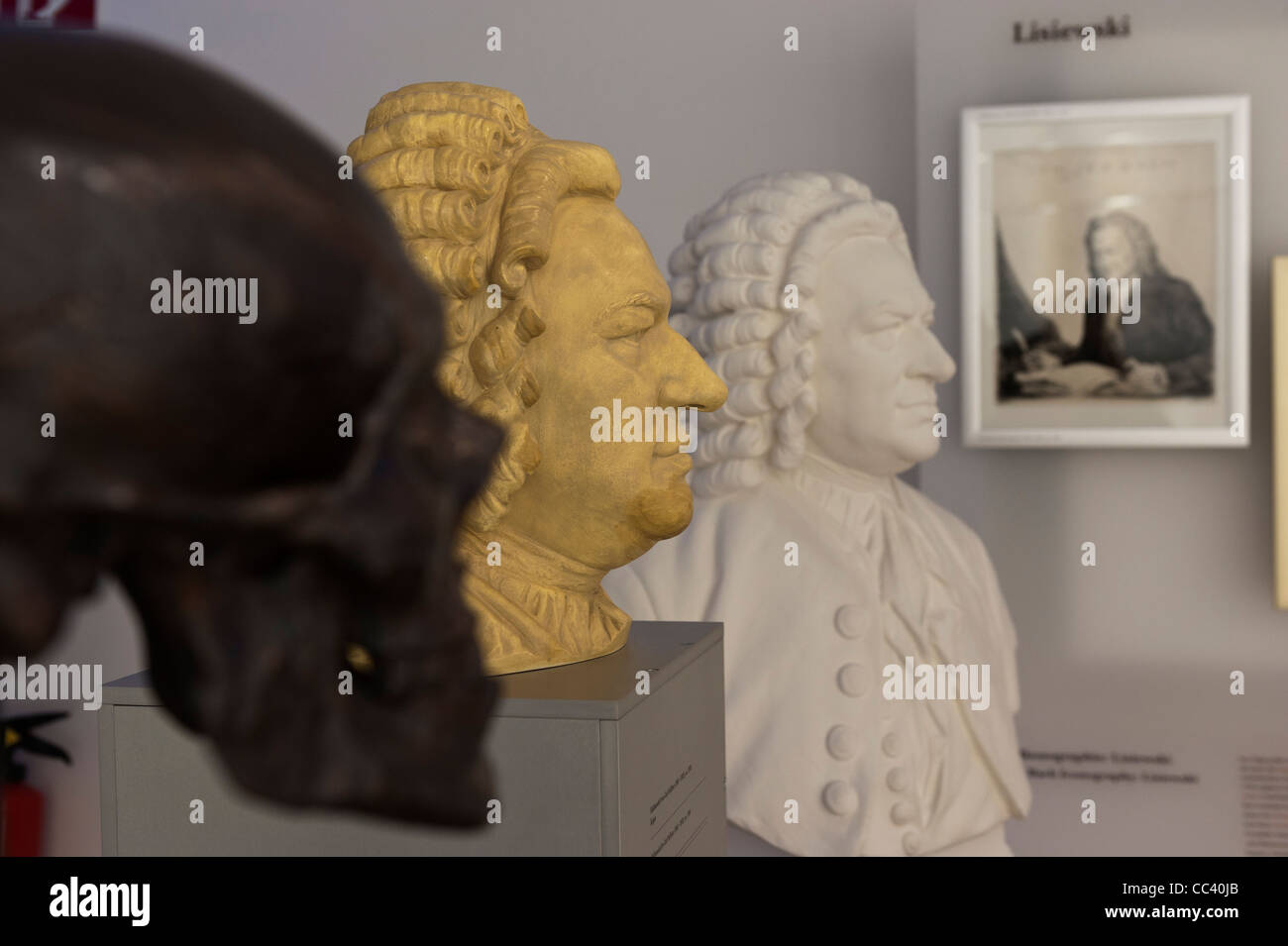 Skull cast and Bach bust by Carl Ludwig Seffner at Bach House, Bachhaus, Eisenach, Thuringia, Germany, Europe. Stock Photo