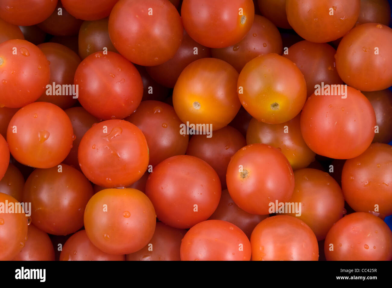 tomato close up just washed Stock Photo
