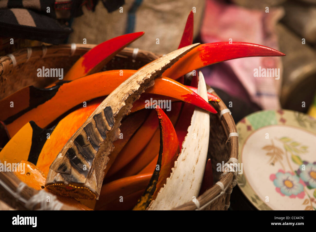 India, Arunachal Pradesh, Itanagar, Nagarlgun Market, real and carved wooden hornbills to make bopiah hornbill hat Stock Photo