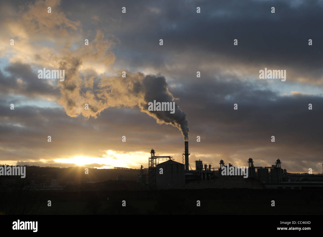 Wood factory egger hi-res stock photography and images - Alamy