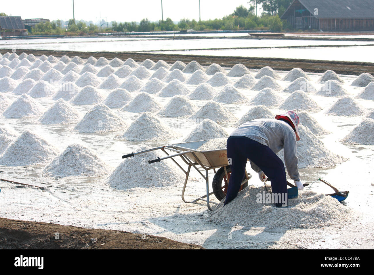 Collecting salt from field Stock Photo Alamy
