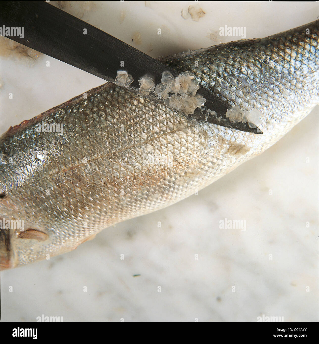 Cuisine: How To Fillet The Sea Bass (1 Stock Photo - Alamy