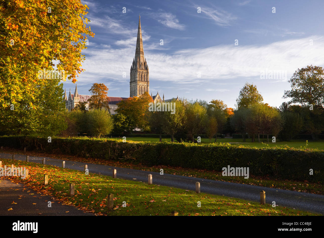 Salisbury cathedral from within the The Close on a colourful autumn morning. Stock Photo