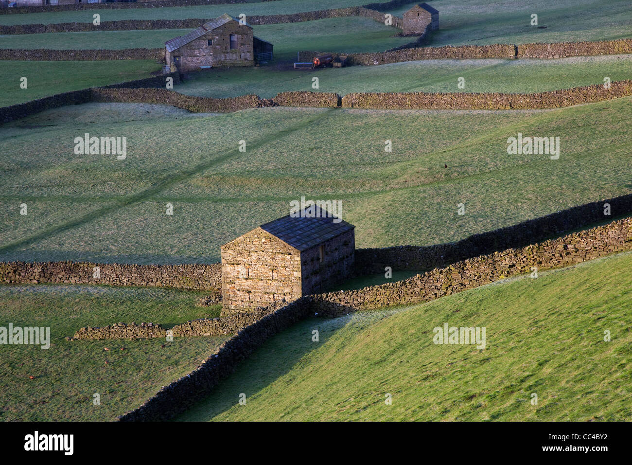 Stony Limestone Barns & farm fields pasture, dry stone walls, Landscape Countryside Gunnerside, Swaledale, Yorkshire Dales National Park, UK Stock Photo