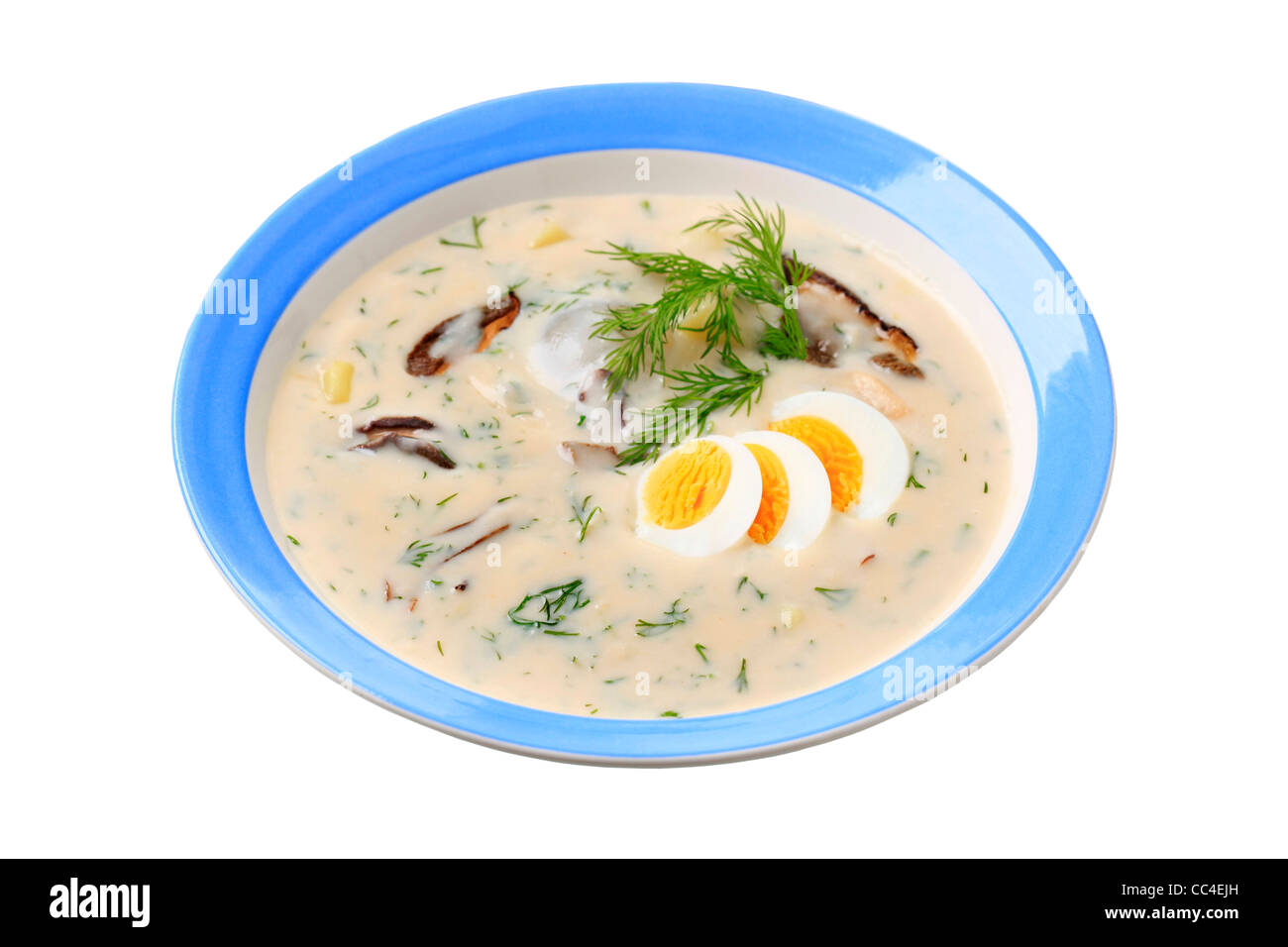 Cream soup with dill, mushrooms, potatoes and boiled egg - traditional Czech cuisine Stock Photo