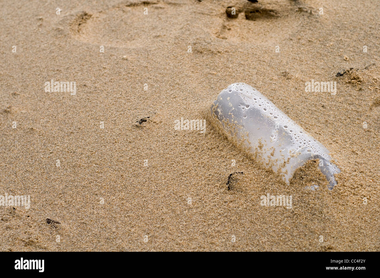 A plastic bottle polluting a sandy beach Stock Photo