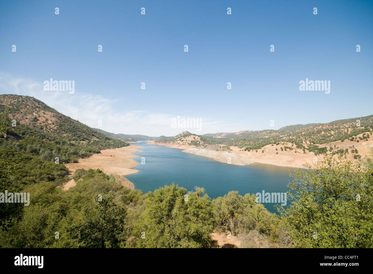 Are Dogs Allowed At Lake Pedro