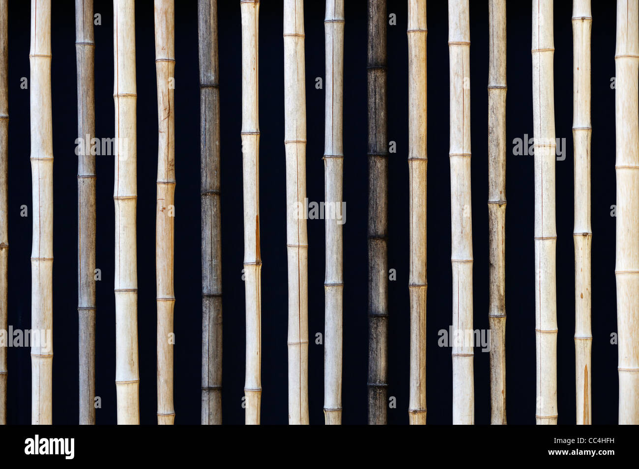 Closeup of Bamboo Canes Stock Photo Alamy