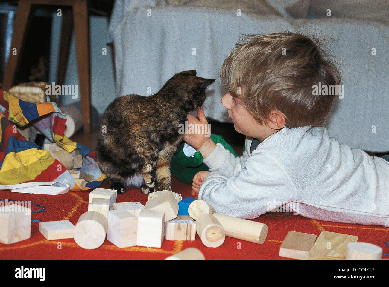 Animal man young cat six hi-res stock photography and images - Alamy Animal man young cat six hi-res stock photography and images - Alamy