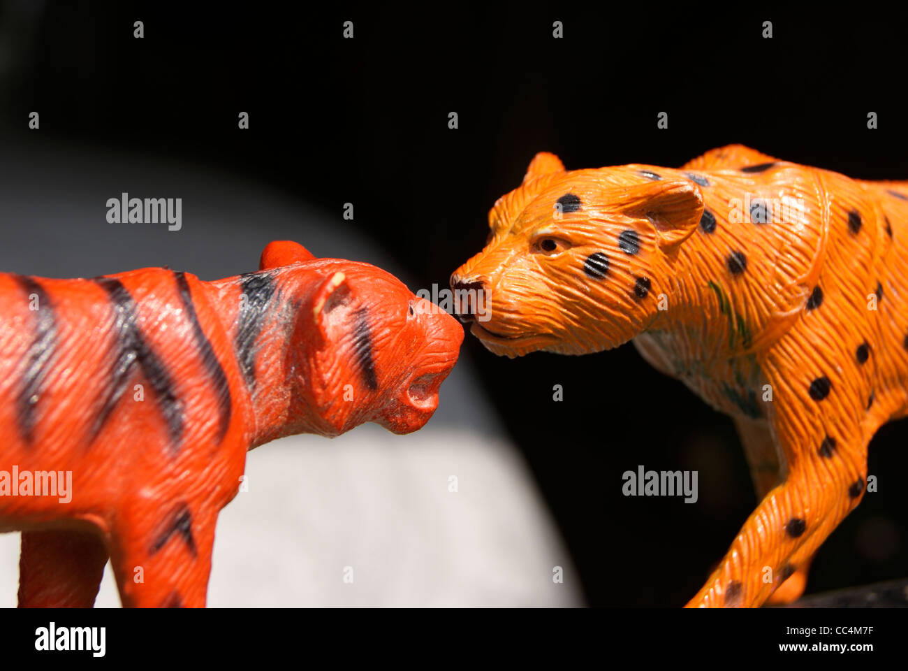 Tiger face to face ( Toy Tigers ) Stock Photo