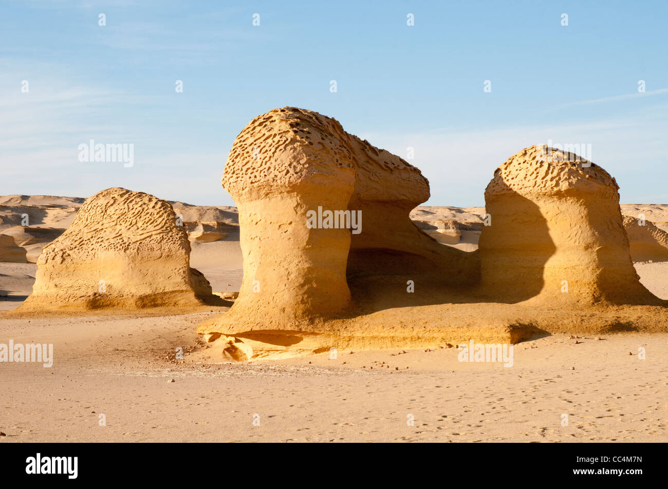 Desert landforms formed by wind erosion at wadi al hitan valley of the