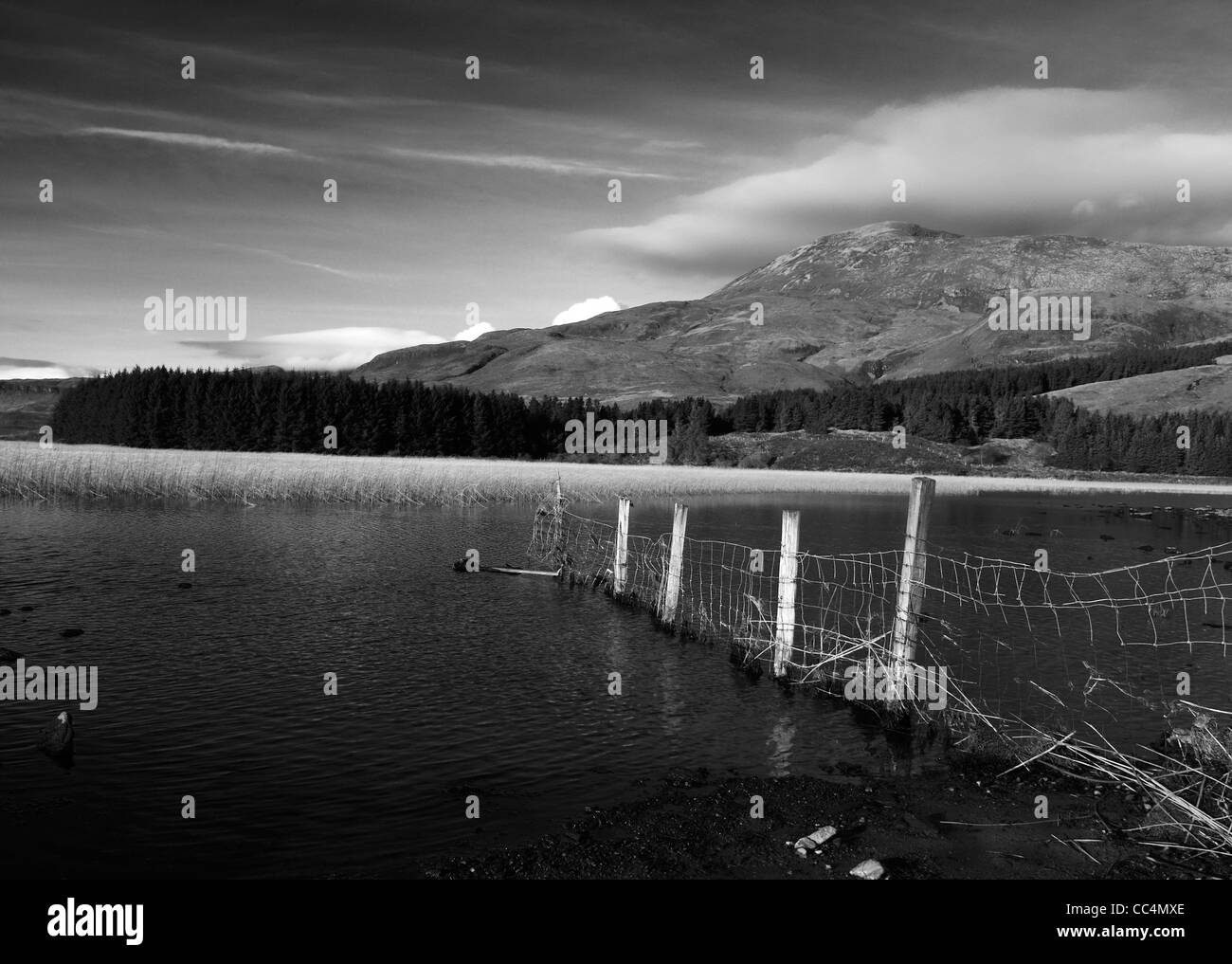 Highland highland Black and White Stock Photos & Images - Alamy