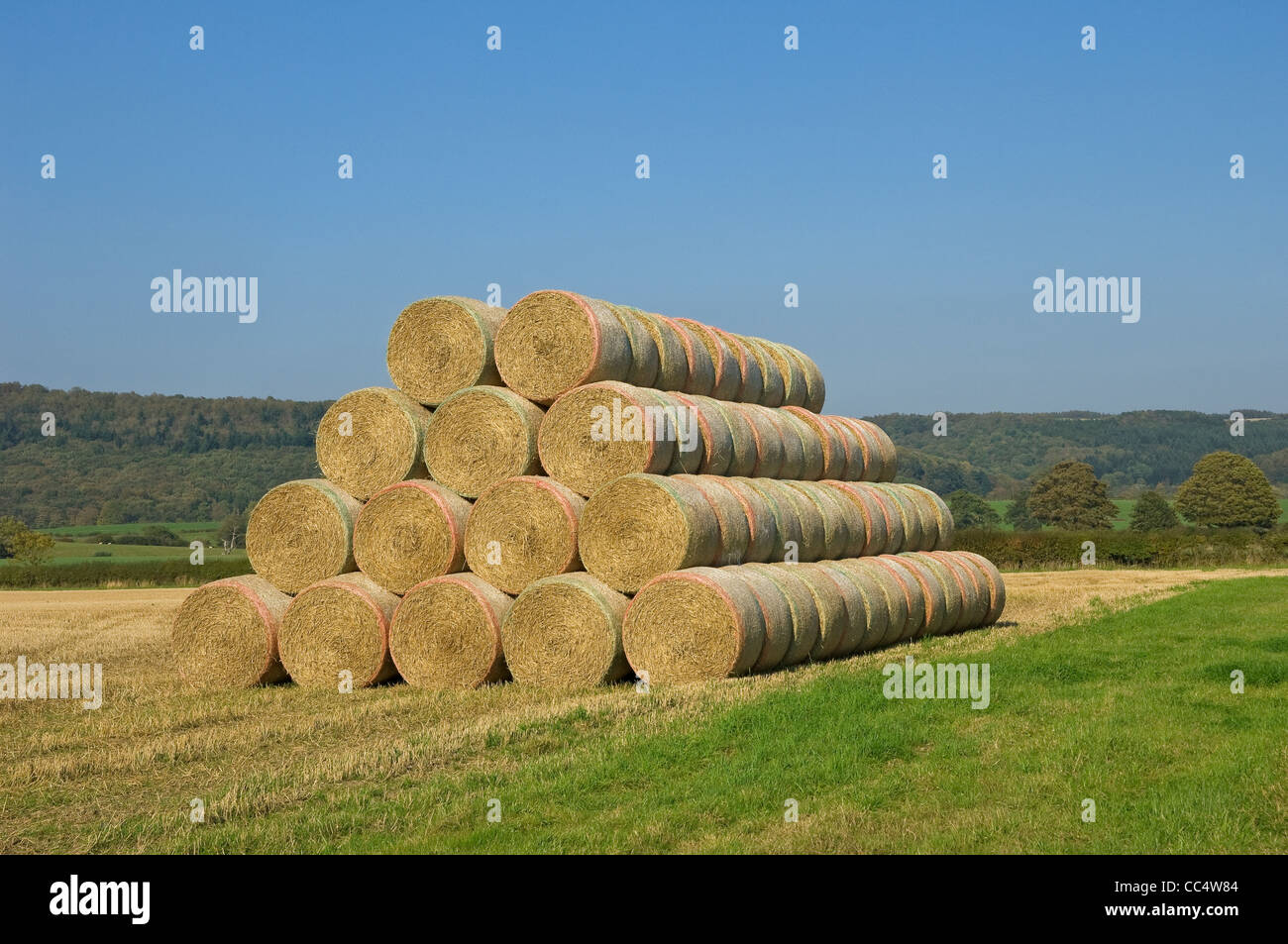 Stacked bales bale of straw after harvest harvesting in autumn North