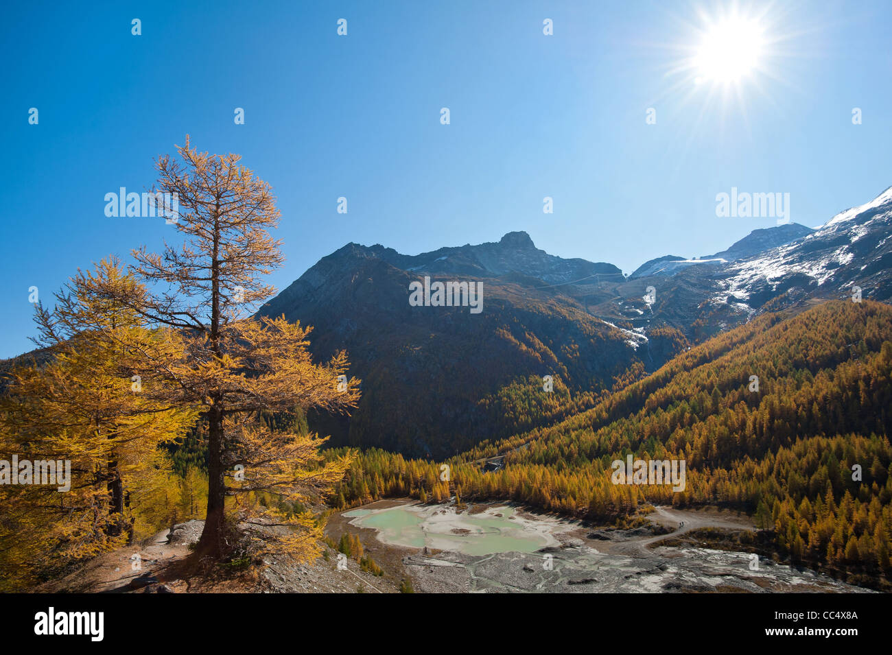 glacier lake in forest above Saas Fee, Switzerland Stock Photo