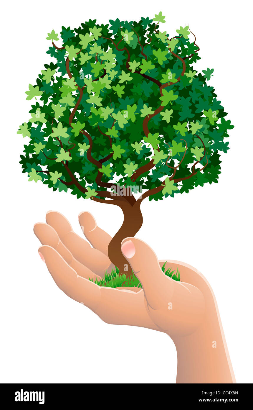 Conceptual illustration of a hand holding a growing tree Stock Photo ...