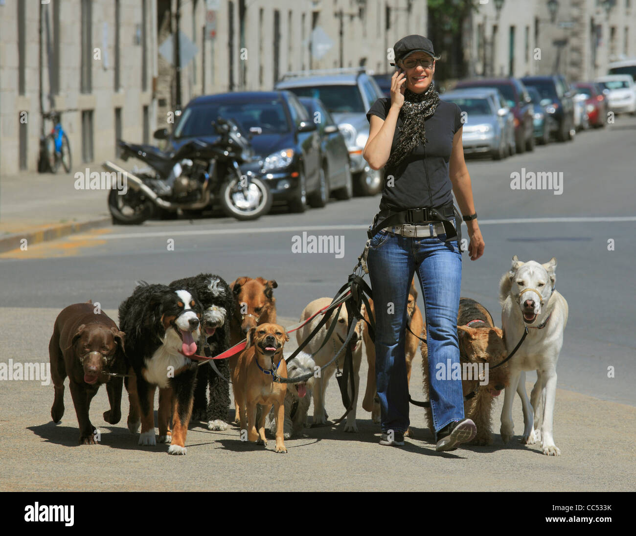 Dog walker hi-res stock photography and images - Alamy