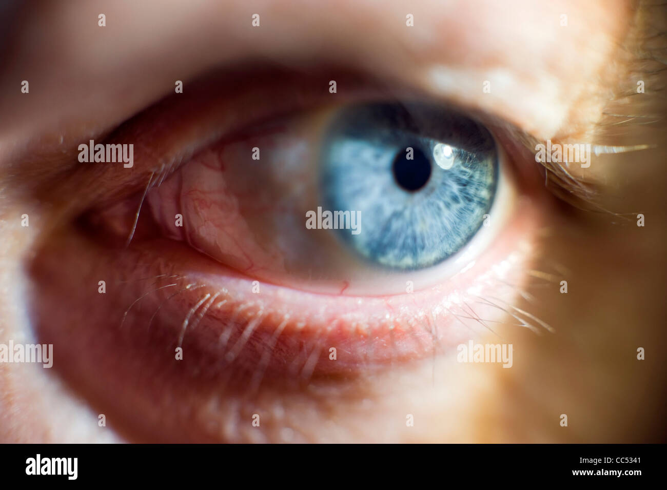 Close-up of a mans eye with blue iris Stock Photo
