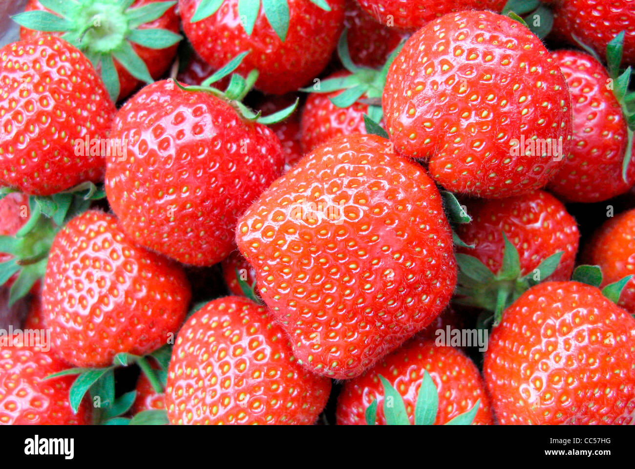Fresh strawberries from Germany Stock Photo Alamy