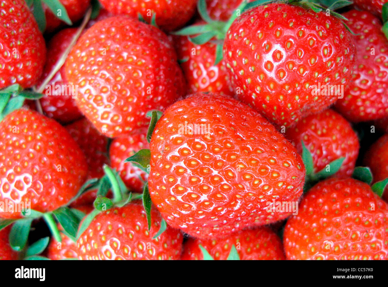 Fresh strawberries from Germany Stock Photo Alamy