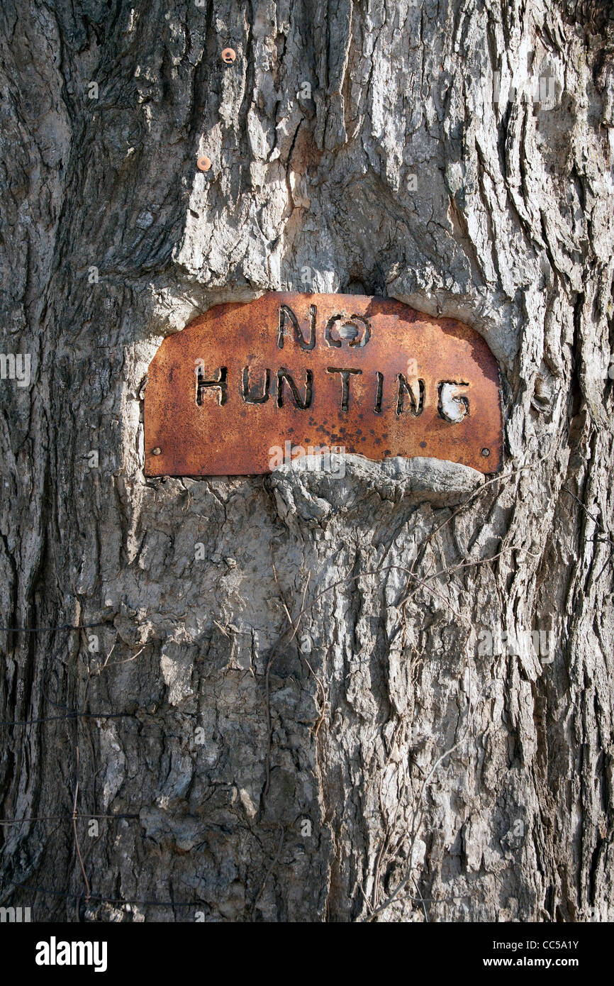 No Hunting Sign embedded within tree trunk E USA Stock Photo