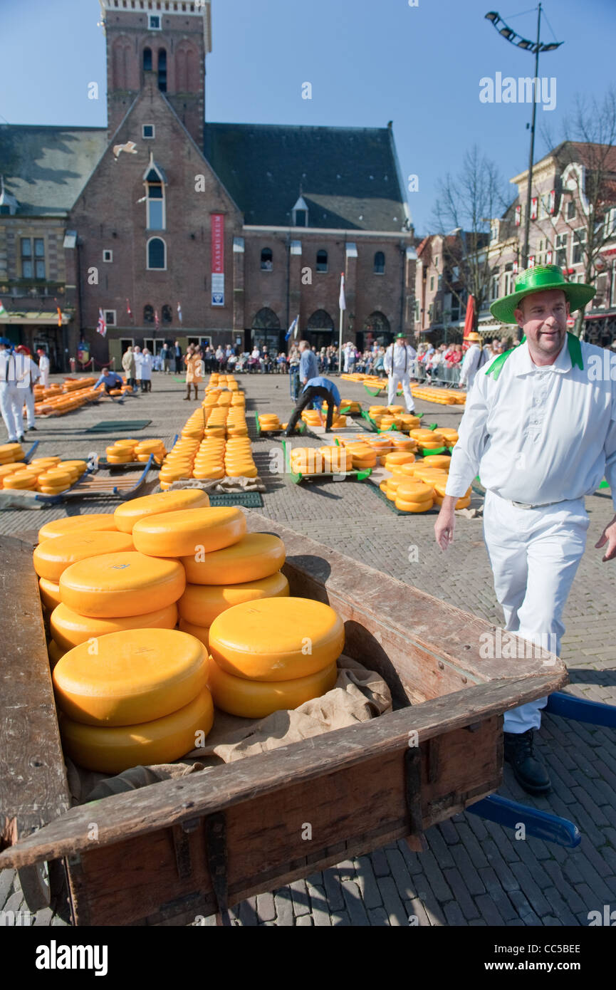 Carrier at Alkmaar cheese market Stock Photo