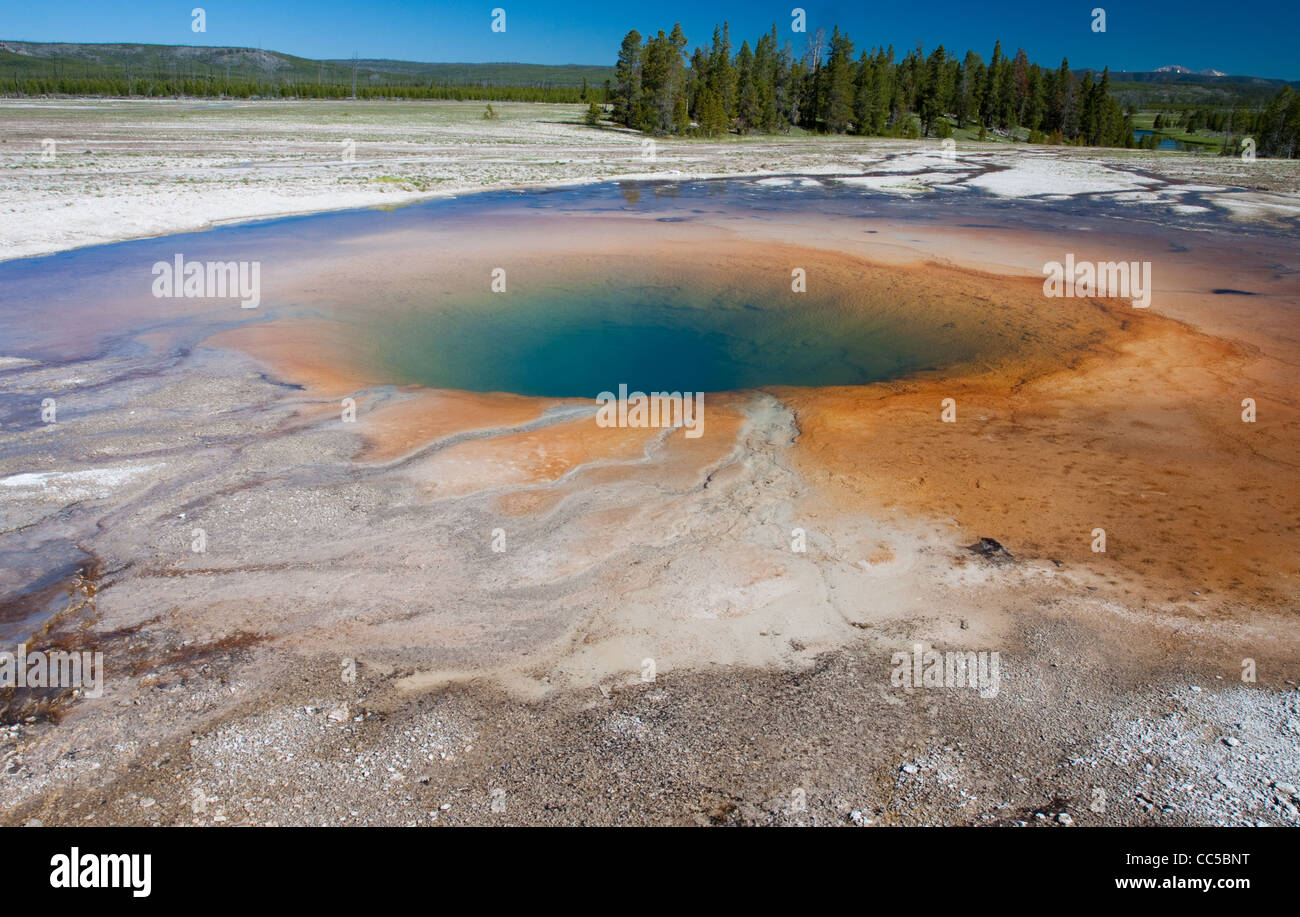 Colourful golden pool of bacteria in a volcanic runoff section of