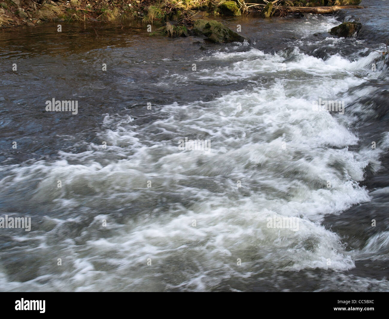 river 'White Rain' Bavarian Forest Germany / Fluss 'Weisser Regen' Bayerischer Wald Deutschland Stock Photo