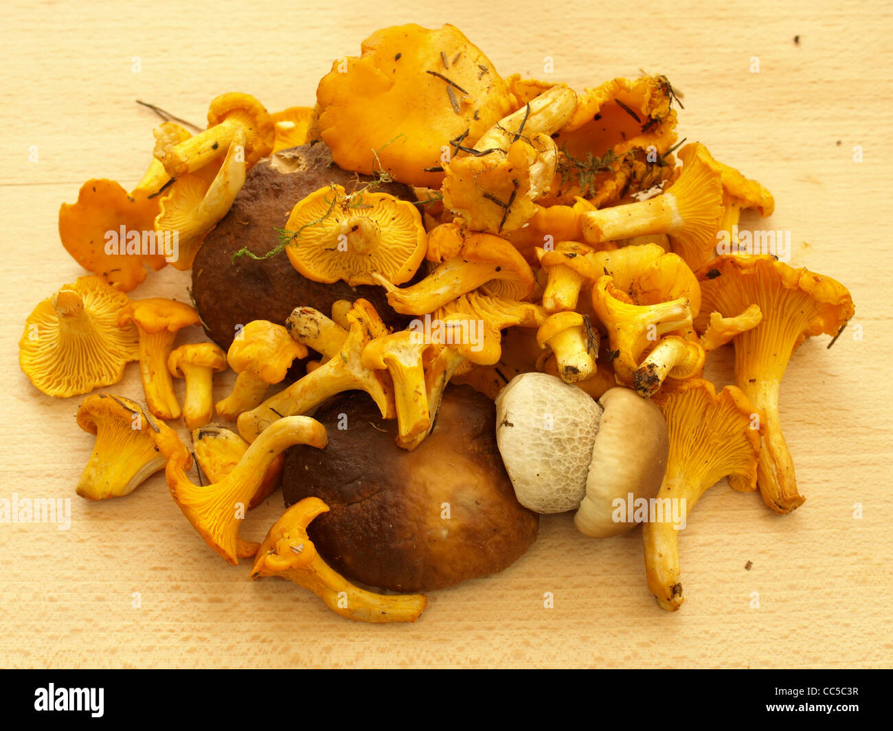 mixed mushrooms on a board / gemischte Pilze auf Holz Stock Photo