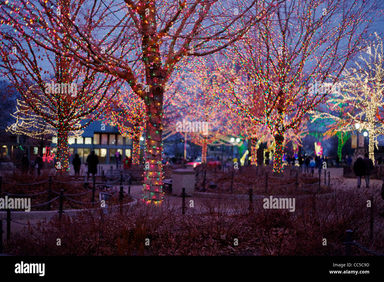 Lincoln Park Christmas Zoo Lights festival. Chicago, Illinois Stock