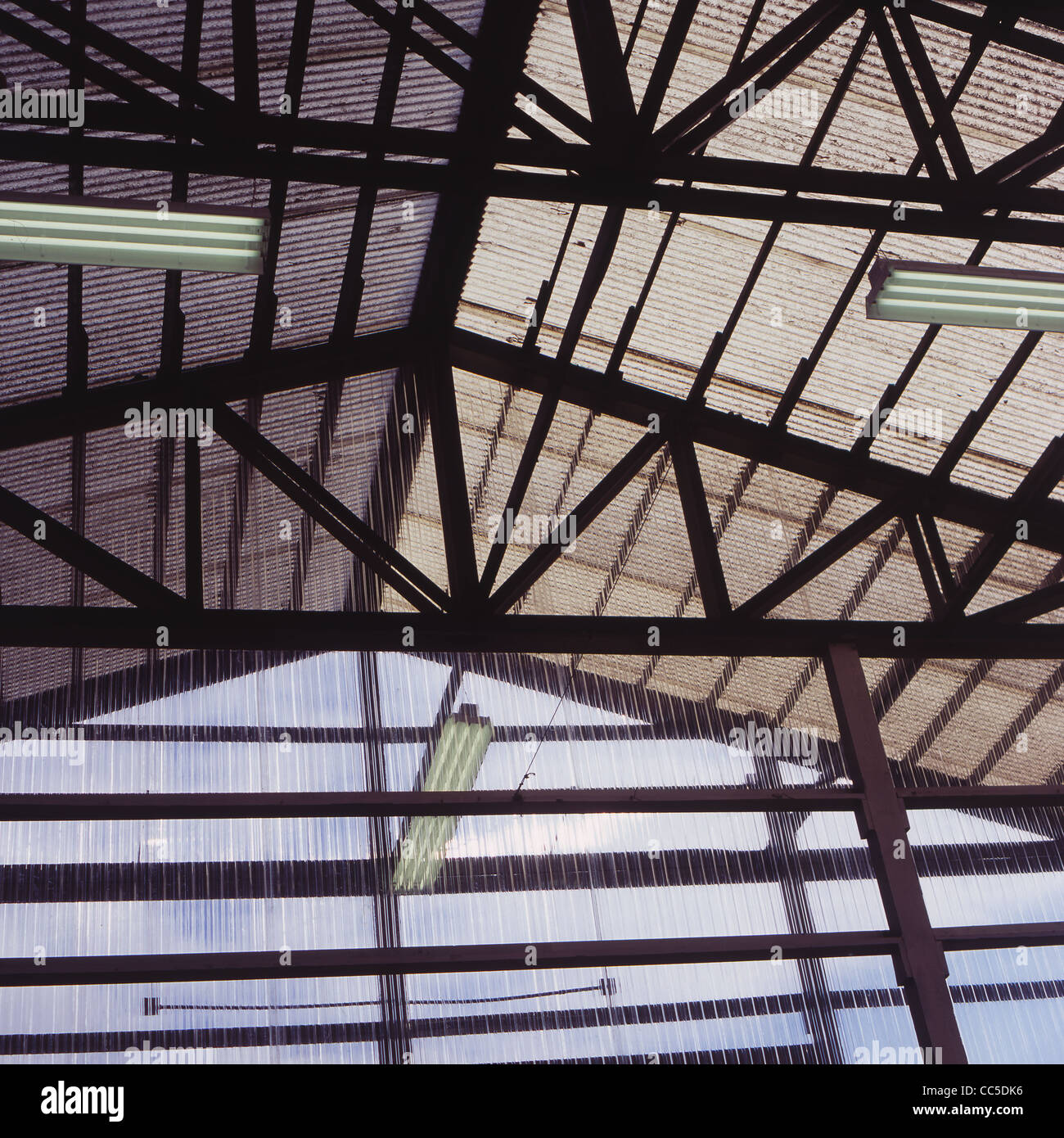 Steel Framed Barn With Hanging Lights And And Clear Plastic Siding