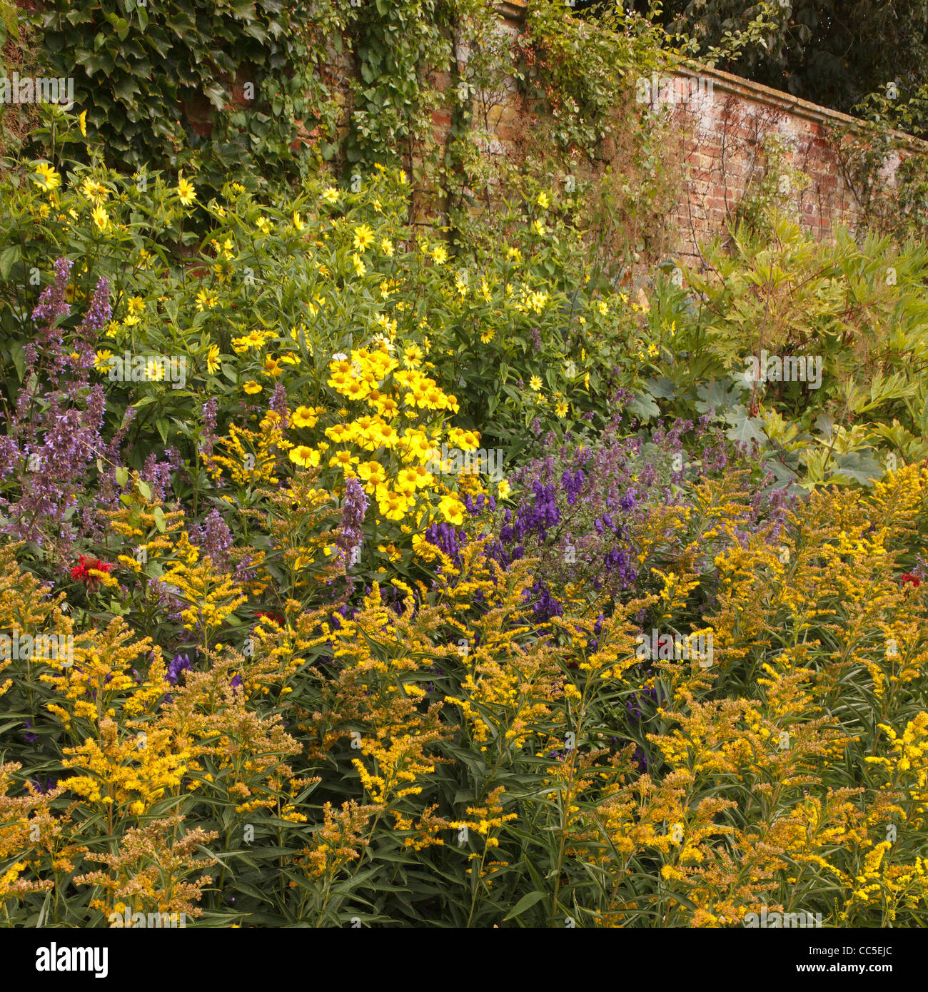 Colourful deep flower bed border in walled garden, Lincolnshire