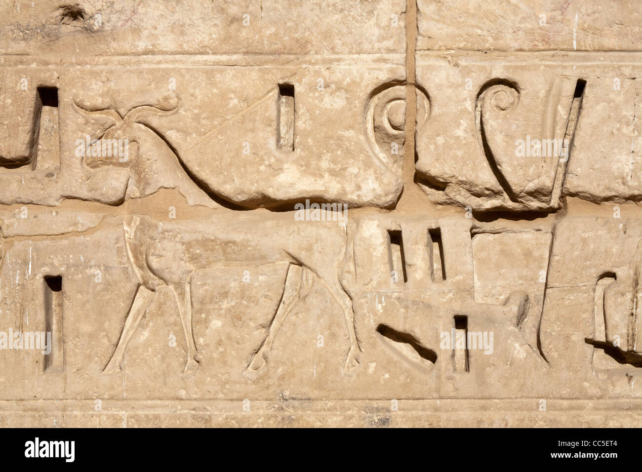 View of relief in the  Mortuary Temple of Pharaoh Ramesses III, Medinet Habu, West Bank, Luxor, Egypt Stock Photo
