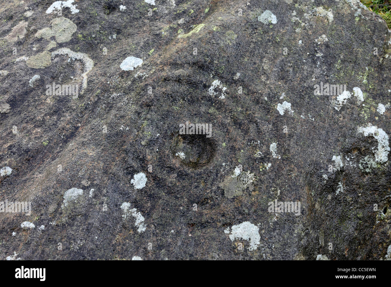 Cup and Ring Marked Stone in Osmaril Gill Barningham Moor, Barningham Teesdale County Durham UK Stock Photo