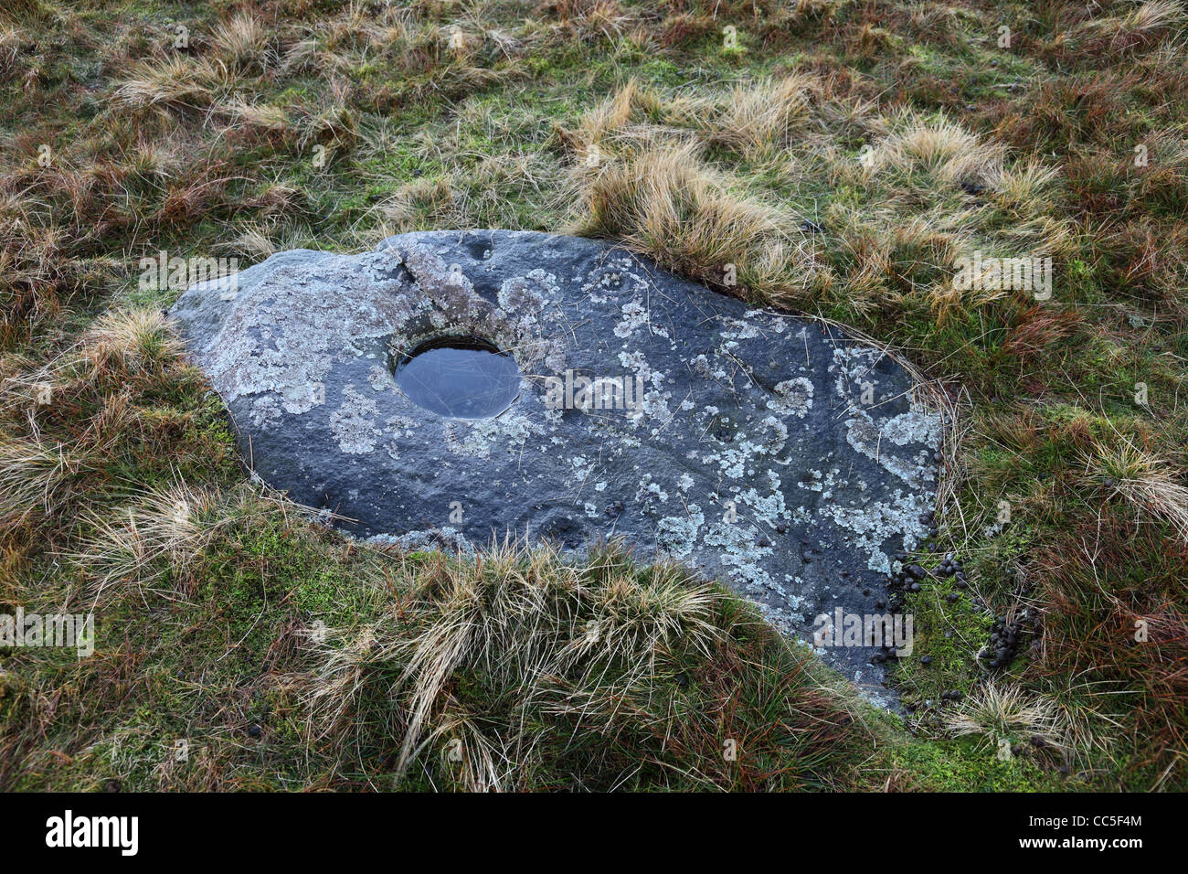 Ancient Cup and Ring Marked Stone on Eel Hill Barningham Moor Teesdale County Durham UK Stock Photo