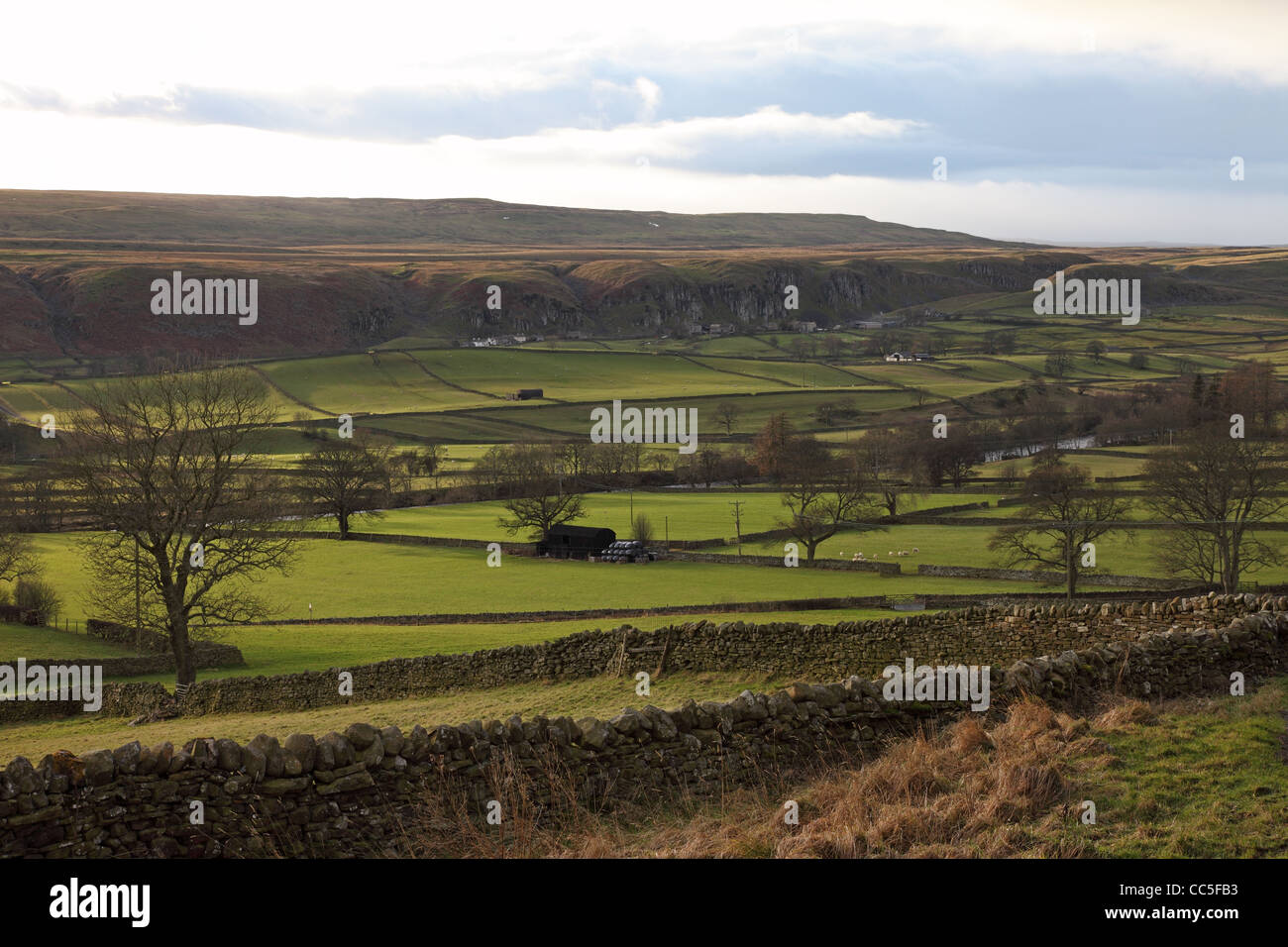 Holwick Scar Viewed from the Village of Newbiggin in Upper Teesdale County Durham UK Stock Photo