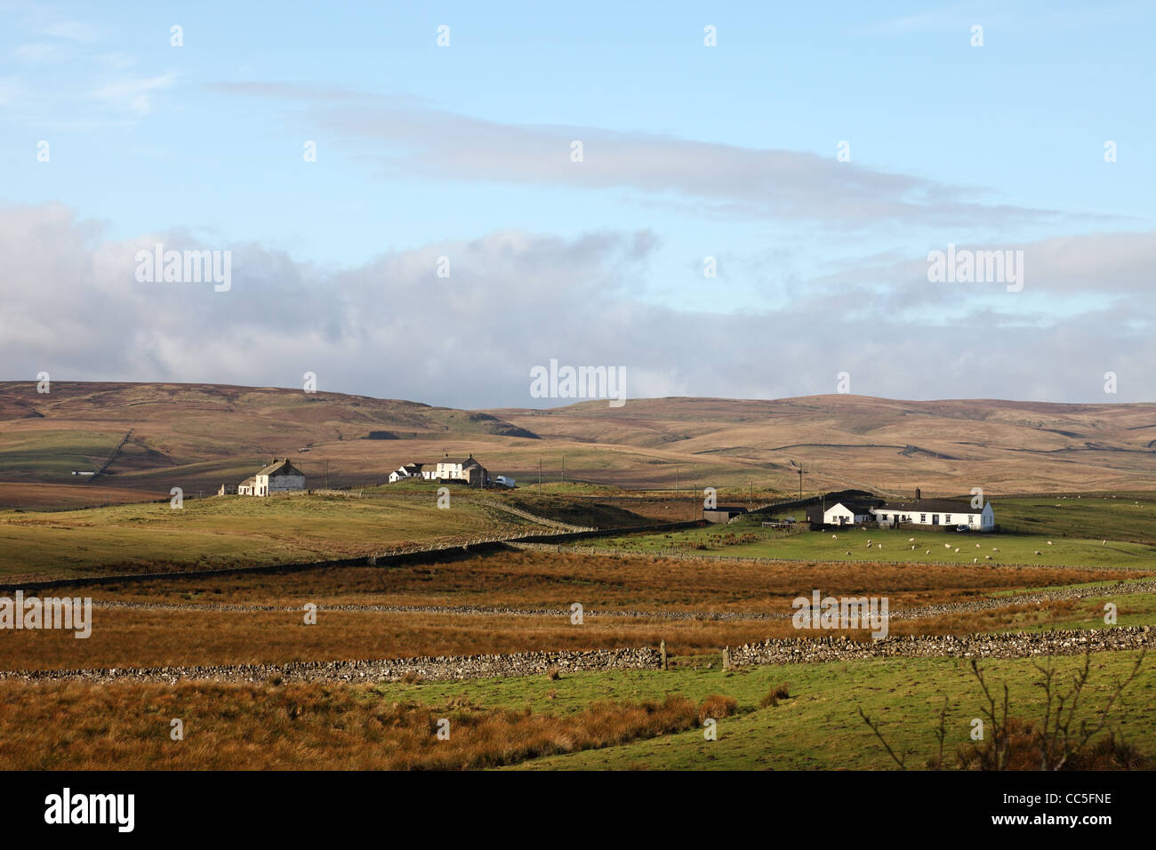 White Painted Farm Houses of Raby Estates, Forest in Teesdale, with Widdybank Fell (Left) Upper Teesdale County Durham UK Stock Photo