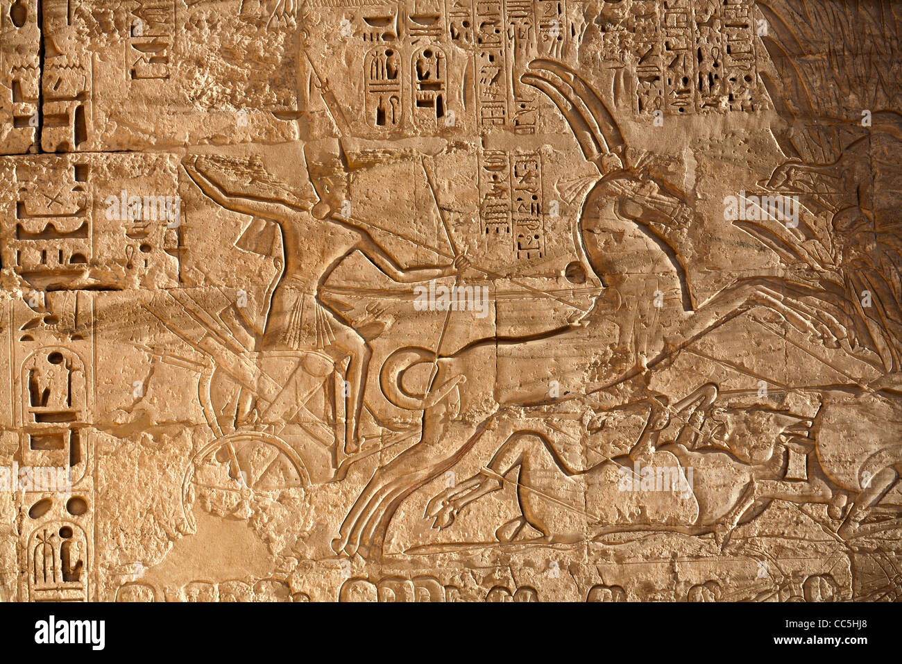 View of hunting in the marshes scene in the  Mortuary Temple of Pharaoh Ramesses III, Medinet Habu, West Bank, Luxor, Egypt Stock Photo